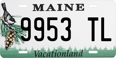 ME license plate 9953TL