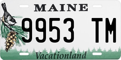 ME license plate 9953TM