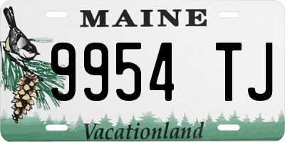 ME license plate 9954TJ