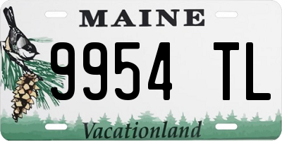 ME license plate 9954TL
