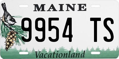 ME license plate 9954TS