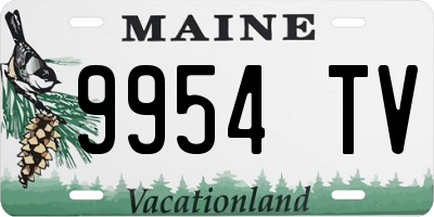 ME license plate 9954TV