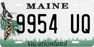 ME license plate 9954UQ