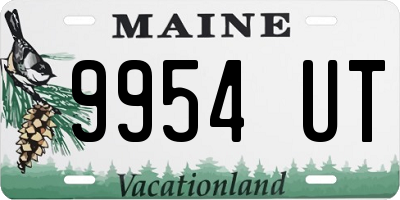 ME license plate 9954UT