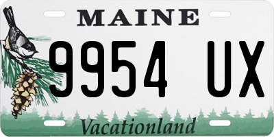 ME license plate 9954UX