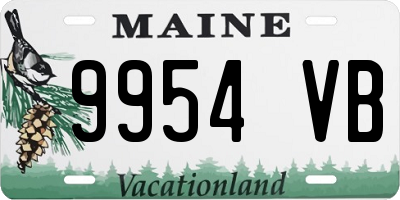 ME license plate 9954VB