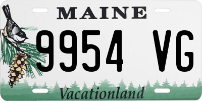 ME license plate 9954VG