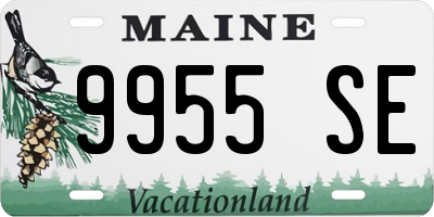ME license plate 9955SE