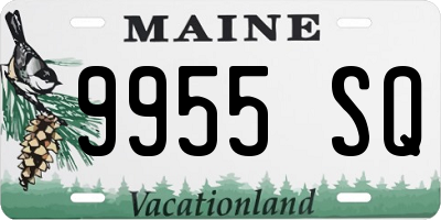 ME license plate 9955SQ