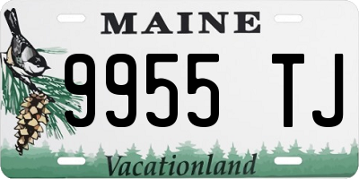 ME license plate 9955TJ