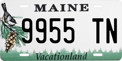 ME license plate 9955TN