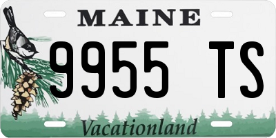 ME license plate 9955TS
