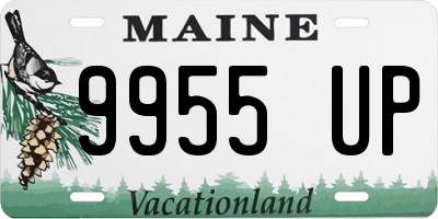 ME license plate 9955UP