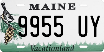 ME license plate 9955UY