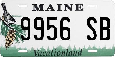 ME license plate 9956SB