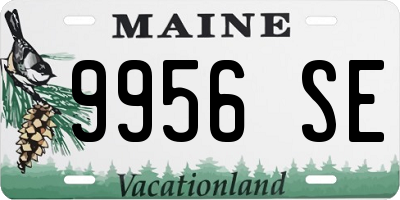 ME license plate 9956SE