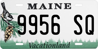 ME license plate 9956SQ