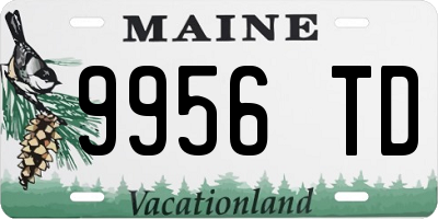 ME license plate 9956TD