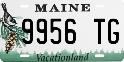 ME license plate 9956TG
