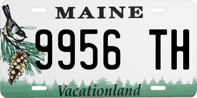ME license plate 9956TH