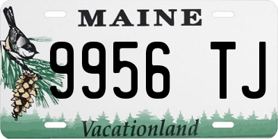 ME license plate 9956TJ