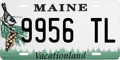 ME license plate 9956TL