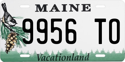 ME license plate 9956TO
