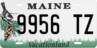 ME license plate 9956TZ