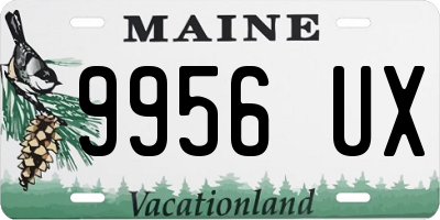 ME license plate 9956UX