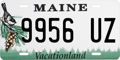 ME license plate 9956UZ