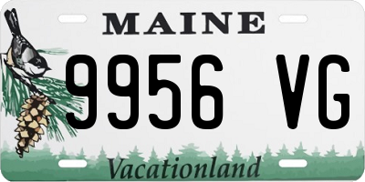 ME license plate 9956VG