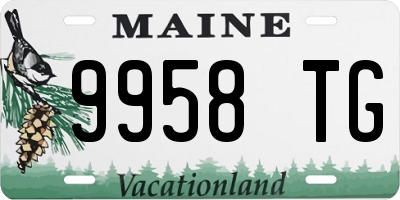 ME license plate 9958TG