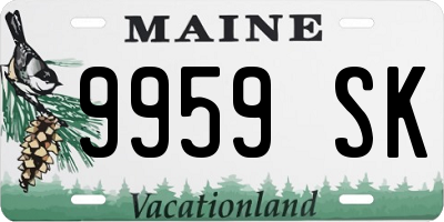 ME license plate 9959SK
