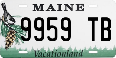 ME license plate 9959TB