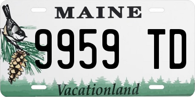 ME license plate 9959TD