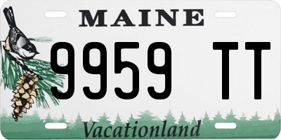 ME license plate 9959TT