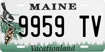 ME license plate 9959TV