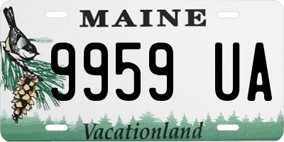 ME license plate 9959UA