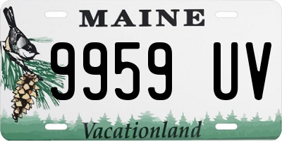 ME license plate 9959UV