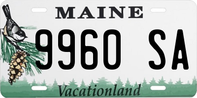 ME license plate 9960SA