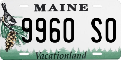 ME license plate 9960SO