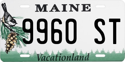 ME license plate 9960ST