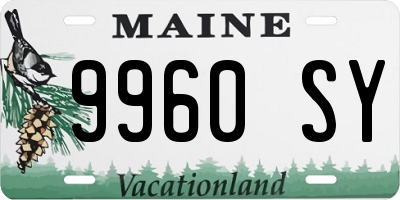 ME license plate 9960SY