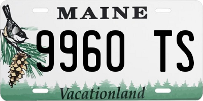 ME license plate 9960TS
