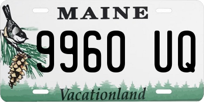 ME license plate 9960UQ