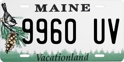 ME license plate 9960UV