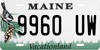 ME license plate 9960UW