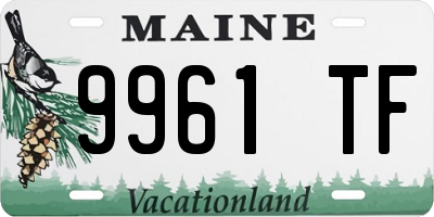 ME license plate 9961TF