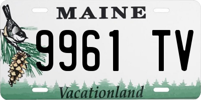 ME license plate 9961TV
