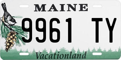 ME license plate 9961TY